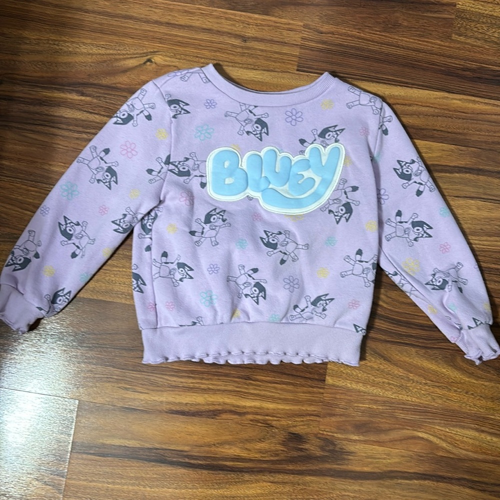 Bluey Sweatshirt, Size 5T